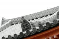 Lumix FZ7 (Bridge Camera)