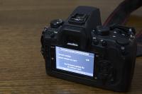Sigma SD1 Merrill For Sale