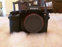 Sony A7 Body and Grip