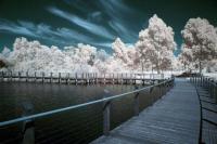 Sony A6300 Full Spectrum - Infrared & Normal - with Sony 16-70 F/4