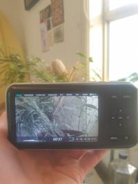 BMPCC with Lumix 25mm f1.7 and other accessories 