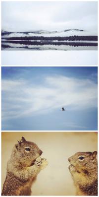 Sigma 18-200 lens & accessories(Great condition) FOR Nikon DSLRs