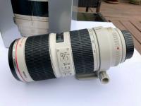 Canon EF 70-200mm F/2.8L IS II USM Lens