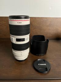 Canon EF 70-200 mm f/2.8L IS III USM Camera Lens - TESTED