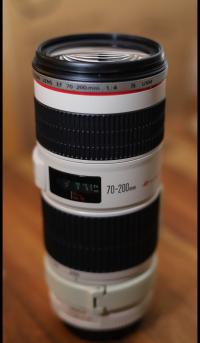 Canon EF 70 - 200mm f4 L IS USM Telephoto Lens 