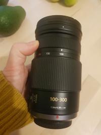 Panasonic Lumix G 100-300mm f/4-5.6 ASPH Mega OIS Lens