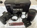 Canon R5 Mirrorless Camera + RF 24-105mm f/4L Lens + EF Adapter